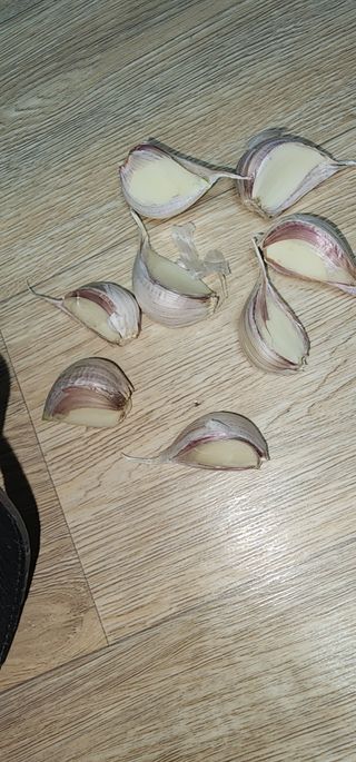 김선례님의 자유주제 · 자유게시판 작성글 사진