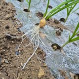 팜모닝 자유주제·사진전 게시글 이미지