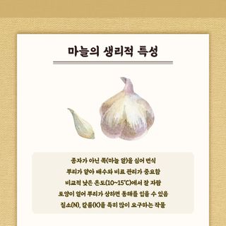 누보농장님의 자유주제 · 자유게시판 작성글 사진