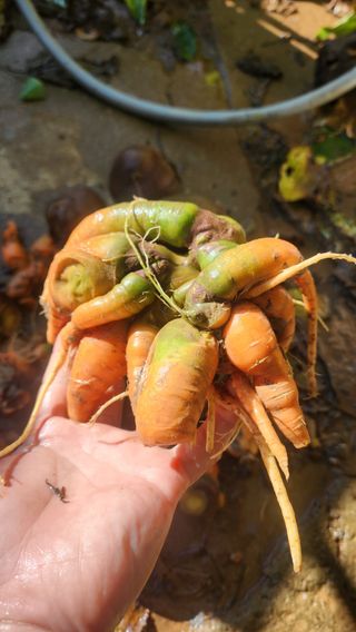 조한솔님의 자유주제 · 자유게시판 작성글 사진