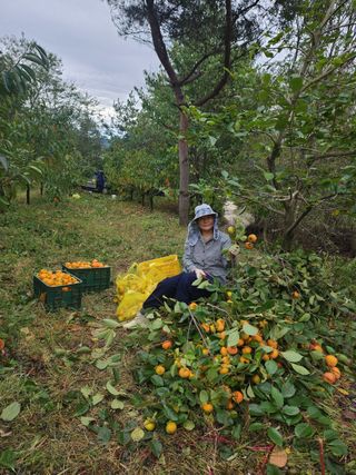 포도10314님의 자유주제 · 자유게시판 작성글 사진