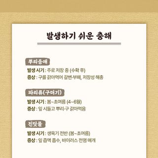 누보농장님의 자유주제 · 자유게시판 작성글 사진