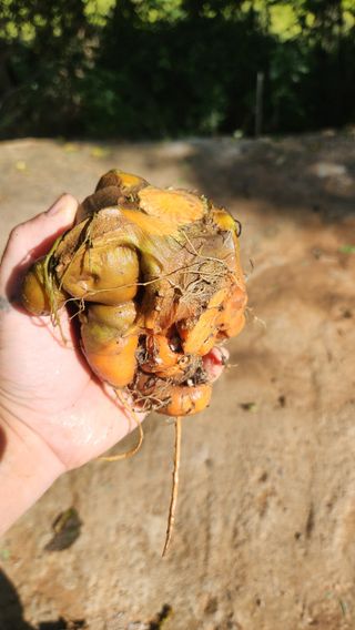 조한솔님의 자유주제 · 자유게시판 작성글 사진