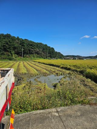 항즐인(즐거운사람)님의 자유주제 · 자유게시판 작성글 사진