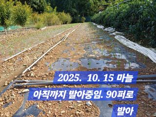 박성민님의 자유주제 · 자유게시판 작성글 사진