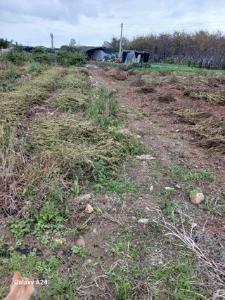 강성흔목사 님의 자유주제 · 자유게시판 작성글 사진