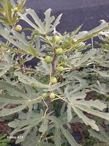 팜모닝 자유주제·자유게시판 게시글 이미지