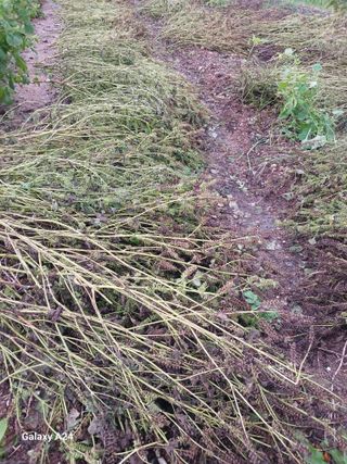 강성흔목사 님의 자유주제 · 자유게시판 작성글 사진