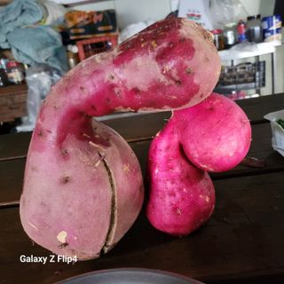 장기수님의 자유주제 · 자유게시판 작성글 사진