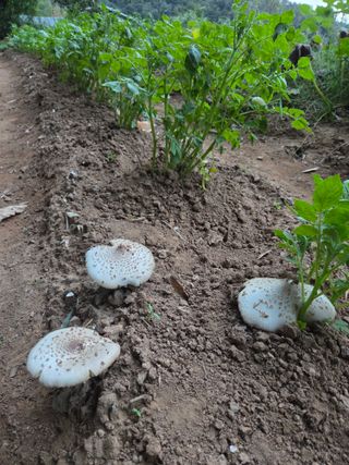 한병훈님의 자유주제 · 자유게시판 작성글 사진