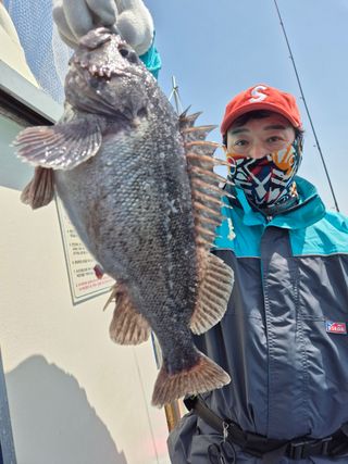 농촌이백억농원^^님의 자유주제 · 자유게시판 작성글 사진
