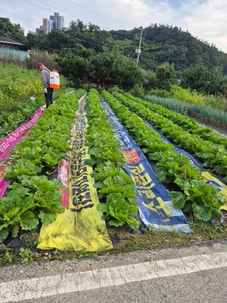 마늘16716님의 자유주제 · 자유게시판 작성글 사진