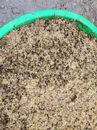 이창신님의 자유주제 · 자유게시판 작성글 사진