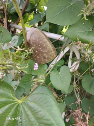 강성흔목사 님의 자유주제 · 자유게시판 작성글 사진