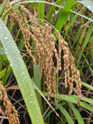 양철주님의 자유주제 · 자유게시판 작성글 사진