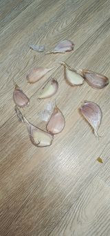 팜모닝 자유주제·자유게시판 게시글 이미지