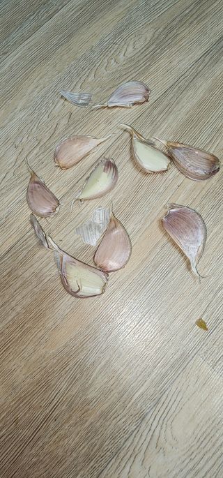 김선례님의 자유주제 · 자유게시판 작성글 사진