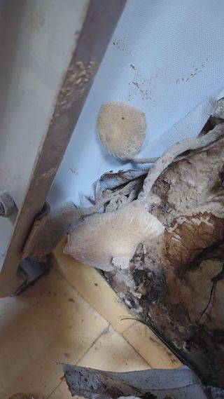 금동이네님의 자유주제 · 자유게시판 작성글 사진