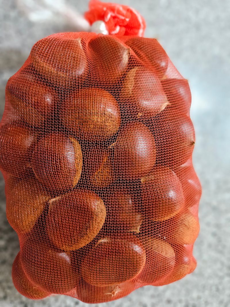 대봉매실 인생이막님의 장터 판매 상품 [ 햇 알밤 (대)4kg  (품절)] 첨부 사진