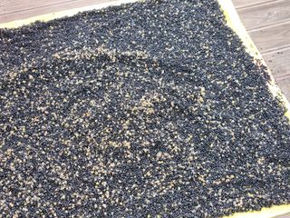 이창신님의 자유주제 · 자유게시판 작성글 사진