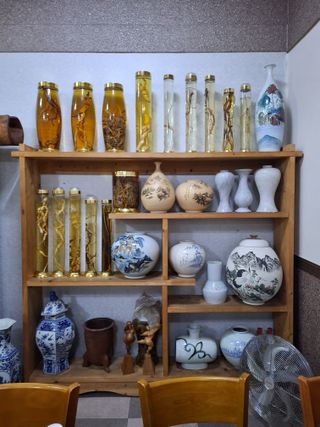 MSG0074님의 자유주제 · 자유게시판 작성글 사진