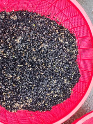 이창신님의 자유주제 · 자유게시판 작성글 사진