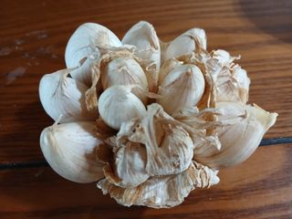 JG59619192님의 자유주제 · 자유게시판 작성글 사진