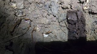 조한솔님의 자유주제 · 자유게시판 작성글 사진