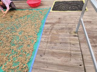 이창신님의 자유주제 · 자유게시판 작성글 사진