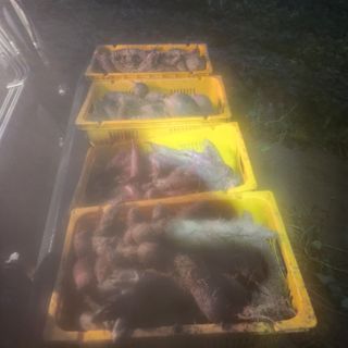 장기수님의 자유주제 · 자유게시판 작성글 사진