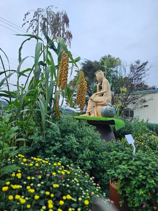 양철주님의 자유주제 · 자유게시판 작성글 사진