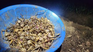 조한솔님의 자유주제 · 자유게시판 작성글 사진