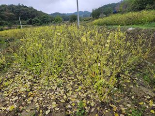 김용석님의 자유주제 · 자유게시판 작성글 사진