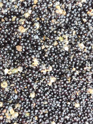 이창신님의 자유주제 · 자유게시판 작성글 사진