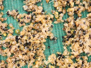 이창신님의 자유주제 · 자유게시판 작성글 사진