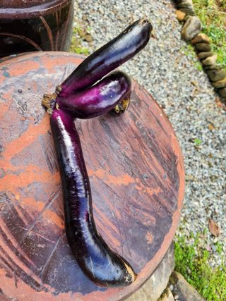 임용관님의 자유주제 · 자유게시판 작성글 사진