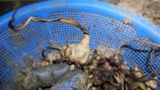 조한솔님의 자유주제 · 자유게시판 작성글 사진