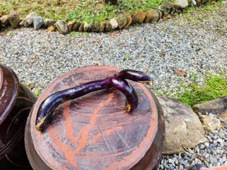 임용관님의 자유주제 · 자유게시판 작성글 사진