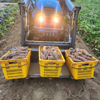 장기수님의 자유주제 · 자유게시판 작성글 사진