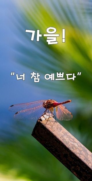 MSG0074님의 자유주제 · 자유게시판 작성글 사진
