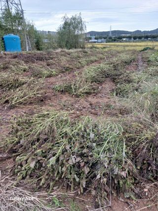 강성흔목사 님의 자유주제 · 자유게시판 작성글 사진