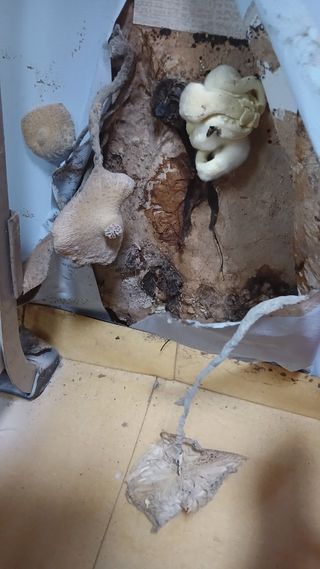 금동이네님의 자유주제 · 자유게시판 작성글 사진