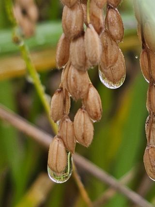 양철주님의 자유주제 · 자유게시판 작성글 사진