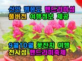 팜모닝 자유주제·자유게시판 게시글 이미지