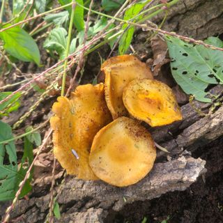 서해.님의 자유주제 · 자유게시판 작성글 사진