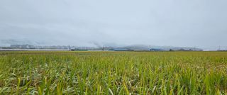 양철주님의 자유주제 · 자유게시판 작성글 사진