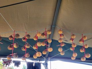 장석오님의 자유주제 · 자유게시판 작성글 사진