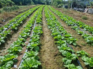 이호님의 자유주제 · 자유게시판 작성글 사진