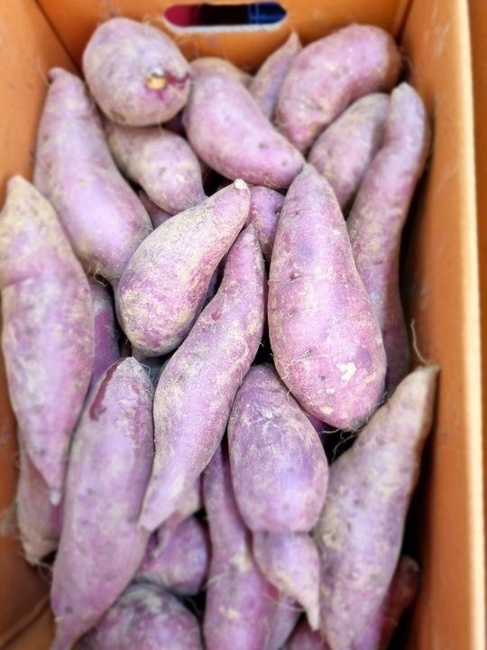소종섭님의 장터 판매 상품 [당뇨 고혈압에좋은 밥맛최고 황금환희쌀] 첨부 사진