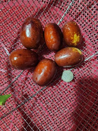 신정식 님의 작성글 사진